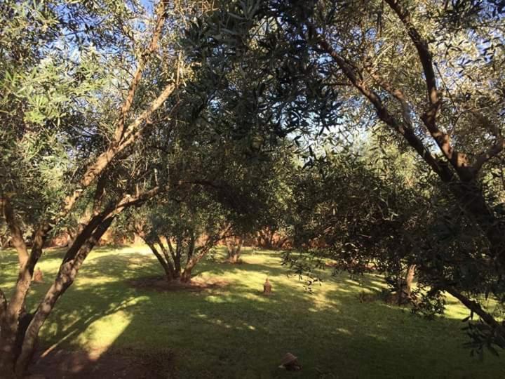 Riad Sidi Hicham Ouled Bouzid Bagian luar foto